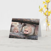 Funny Pig Aangepaste Verjaardag Kaart (Gele Bloem)