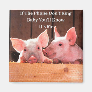 Funny Pig Memes met grappige varken gezegden en qu Magneet