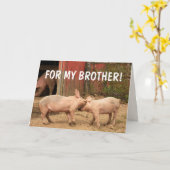 Funny Pigs voor MIJN BROTHER Birthday Kaart (Gele Bloem)