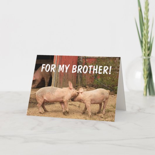 Funny Pigs voor MIJN BROTHER Birthday Kaart (Voorkant)