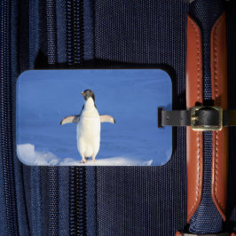 Funny pinguin op ijsfoto bagagelabel