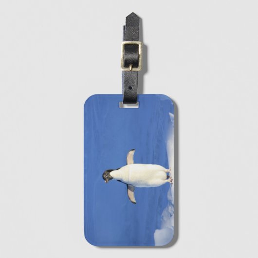 Funny pinguin op ijsfoto bagagelabel (Voorkant (verticaal))