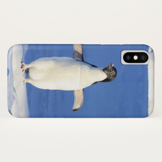 Funny pinguin op ijsfoto Case-Mate iPhone case (Achterkant (horizontaal))