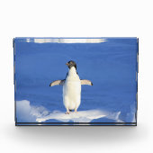 Funny pinguin op ijsfoto fotoblokken (Voorkant)