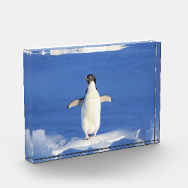 Funny pinguin op ijsfoto fotoblokken