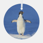Funny pinguin op ijsfoto glas ornament (Achterkant)