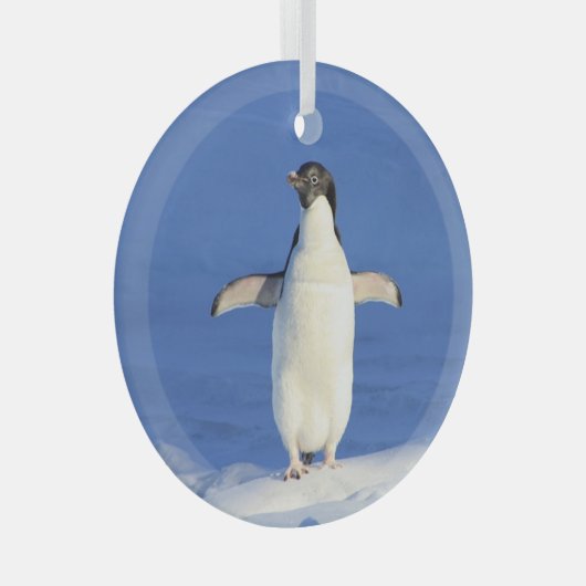 Funny pinguin op ijsfoto glas ornament (Voorkant Rechts)