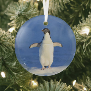Funny pinguin op ijsfoto glas ornament
