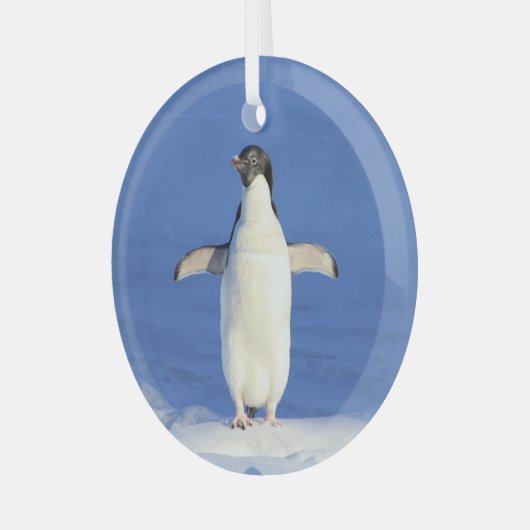 Funny pinguin op ijsfoto glas ornament (Voorkant links)
