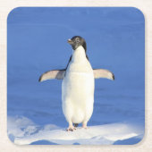 Funny pinguin op ijsfoto kartonnen onderzetters (Voorkant)