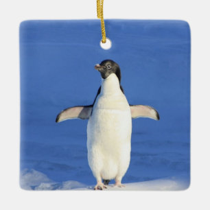 Funny pinguin op ijsfoto keramisch ornament