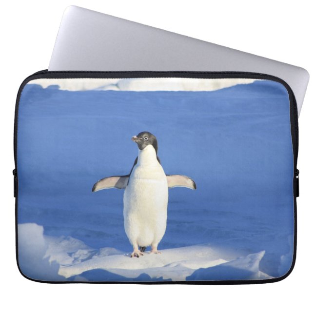 Funny pinguin op ijsfoto laptop sleeve (Voorkant)