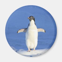 Funny pinguin op ijsfoto magneet