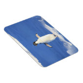 Funny pinguin op ijsfoto magneet (Rechterzijde)