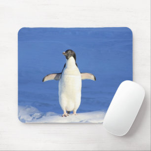 Funny pinguin op ijsfoto muismat