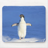 Funny pinguin op ijsfoto muismat (Voorkant)