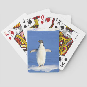 Funny pinguin op ijsfoto pokerkaarten