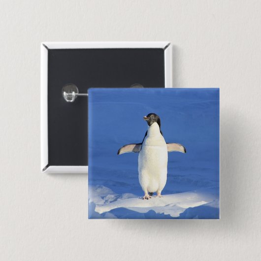 Funny pinguin op ijsfoto vierkante button 5,1 cm (Voorkant /achterkant)