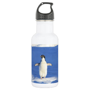 Funny pinguin op ijsfoto waterfles 