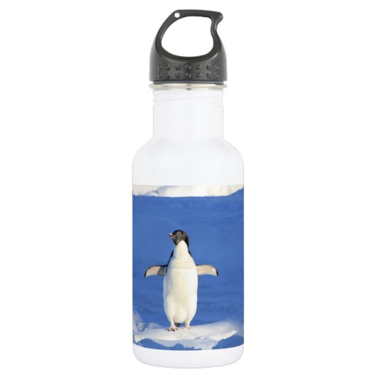 Funny pinguin op ijsfoto waterfles  (Voorkant)