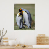 Funny pinguins poster (Keuken)