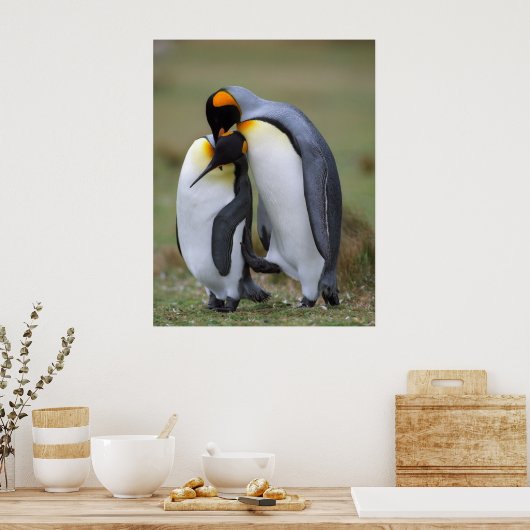 Funny pinguins poster (Keuken)