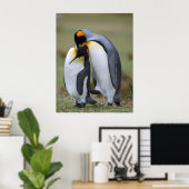 Funny pinguins poster (Thuiskantoor)