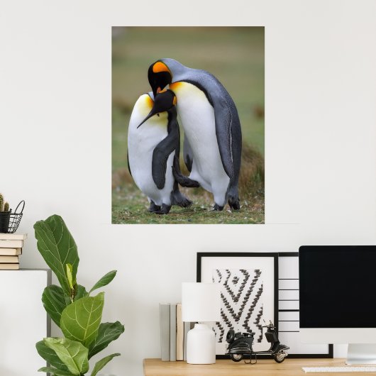Funny pinguins poster (Thuiskantoor)