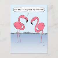 Funny Pink Flamingos-Cartoon