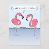 Funny Pink Flamingos-Cartoon Briefkaart (Voorkant)