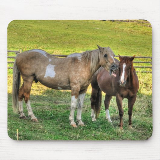 Funny Pinto Stallion & Sorrel Mare Horse Friends 2 Muismat (Voorkant)