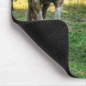 Funny Pinto Stallion & Sorrel Mare Horse Friends Muismat (Hoek)