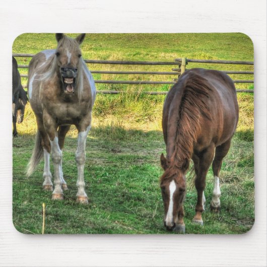 Funny Pinto Stallion & Sorrel Mare Horse Friends Muismat (Voorkant)