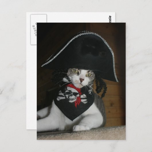 Funny Pirate Cat Briefkaart (Voorkant / Achterkant)