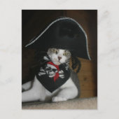 Funny Pirate Cat Briefkaart (Voorkant)