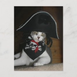 Funny Pirate Cat Briefkaart
