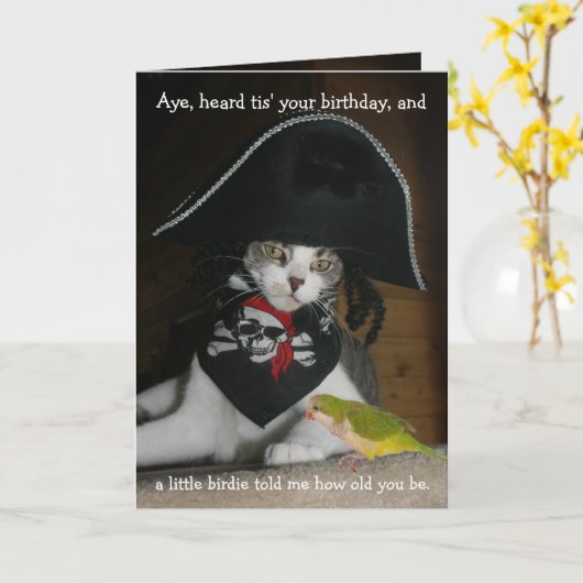Funny Pirate Cat Kaart (Gele Bloem)