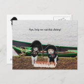 Funny Pirate Cats Briefkaart (Voorkant / Achterkant)