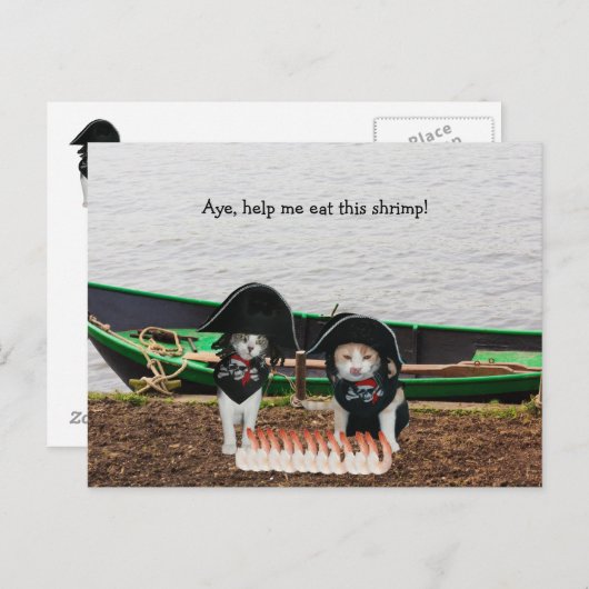 Funny Pirate Cats Briefkaart (Voorkant / Achterkant)