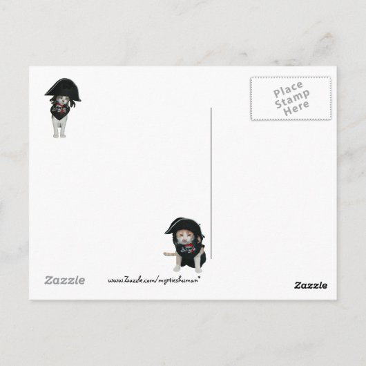 Funny Pirate Cats Briefkaart (Achterkant)