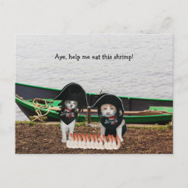 Funny Pirate Cats Briefkaart