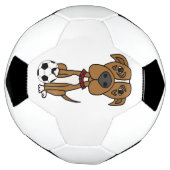 Funny Pitbull Dog-speldensport Voetbal (Gedraaid)