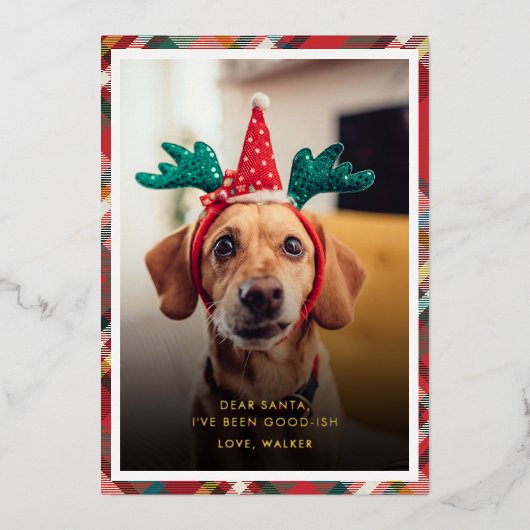 Funny Plaid Dog Pet Photo Christmas Folie Feestdagenkaart (Voorkant)