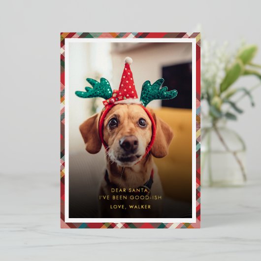 Funny Plaid Dog Pet Photo Christmas Folie Feestdagenkaart (Staand Voorkant)