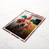 Funny Plaid Dog Pet Photo Christmas Folie Feestdagenkaart (Gedraaid)