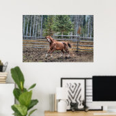 Funny, Playful Chestnut Ranch Horse Foto Poster (Thuiskantoor)