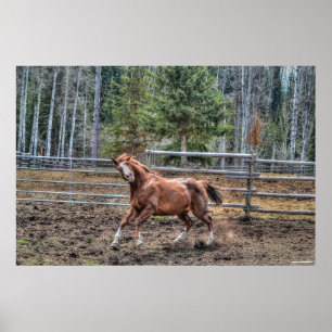 Funny, Playful Chestnut Ranch Horse Foto Poster