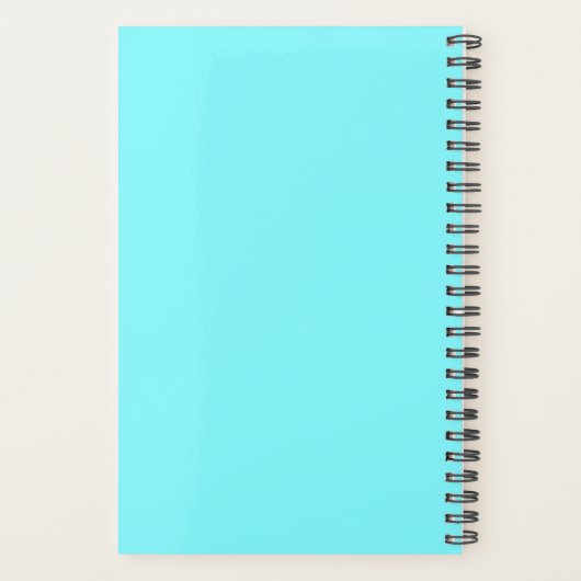 Funny "POINTLESS ATTEMPT AT ORGANIZING" PLanner (Achterkant)