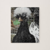 Funny Poland Chicken Close Up Photo Legpuzzel (Verticaal)