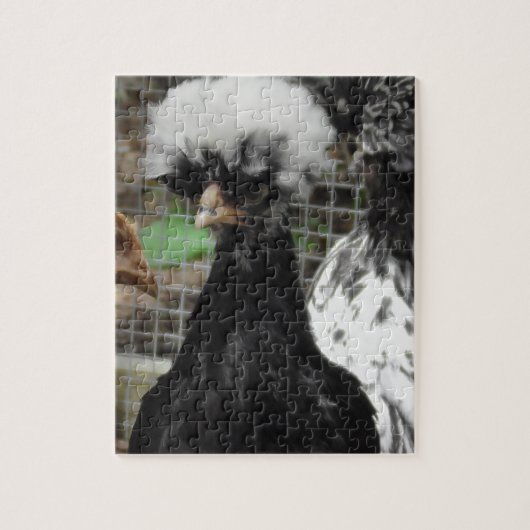 Funny Poland Chicken Close Up Photo Legpuzzel (Verticaal)
